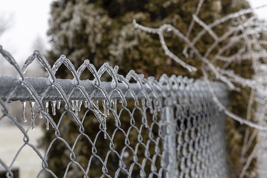 Fence, Ice, Steel, Snow, winter, season, tree, forest, frost, backgrounds, close-up