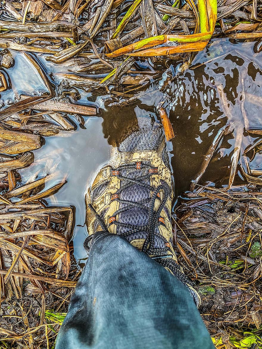 bota, sapato, pé, poça, agua, lama, natureza