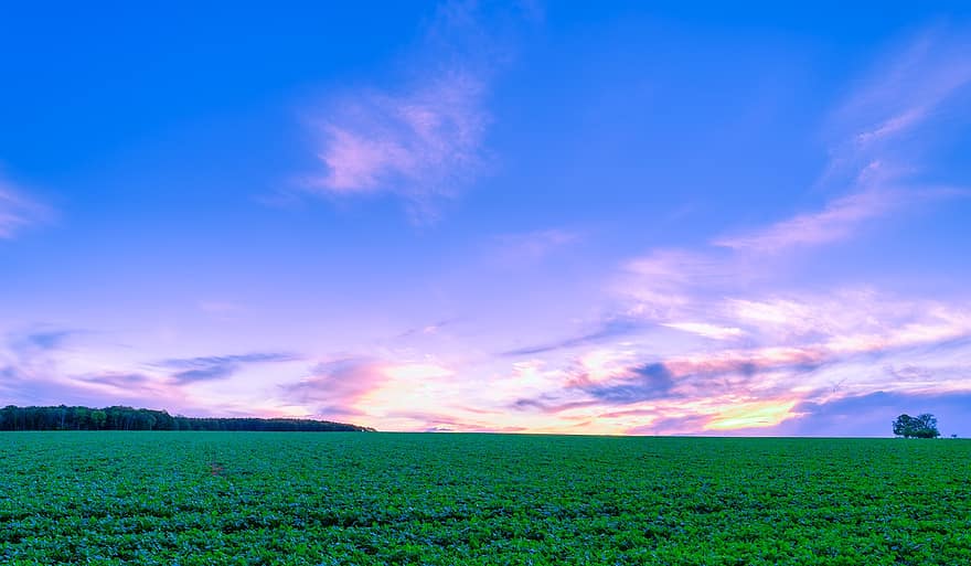 Dusk, Sky, Nature, Meadow, Lawn, Outdoors, Rural