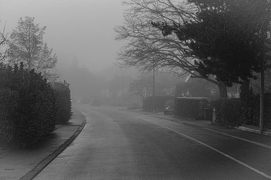 Street, Road, Fog, Tree, Mist, Vignette, car, black and white, transportation, traffic, travel