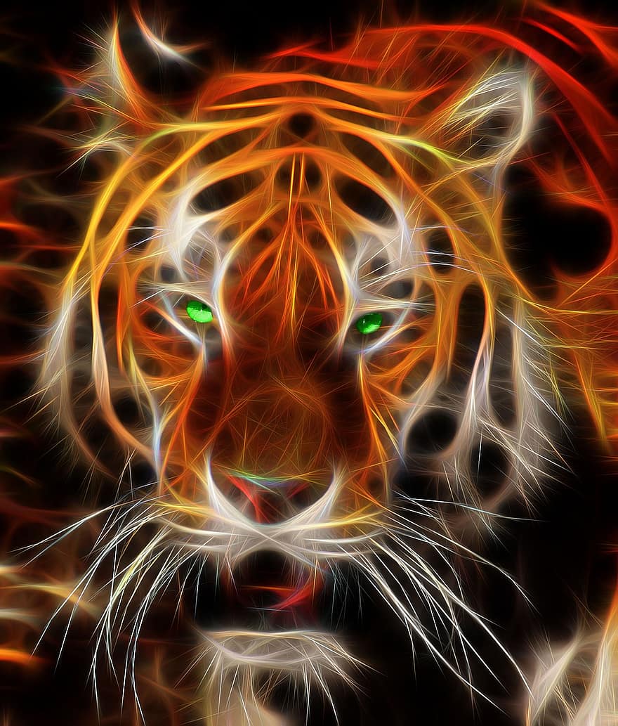 tiger, portrett, rovdyret, feline