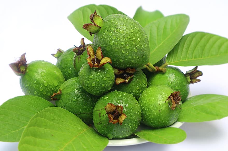 guavas, augļi, ēdiens, lapas, ražu, nogatavojies, bioloģiski, veselīgi, ražot, svaiga, zaļa
