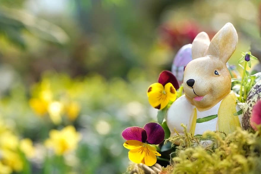 ウサギ、イースターのウサギ、花、パンジー、イースター祭り、イースター装飾、カラフル、色とりどり、染める、可愛い、草