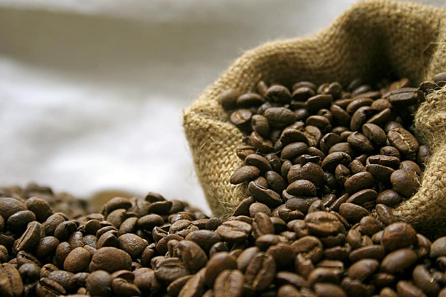 café, grano, cafeína, orgánico, de cerca, frijol, arpillera, beber, antecedentes, frescura, macro