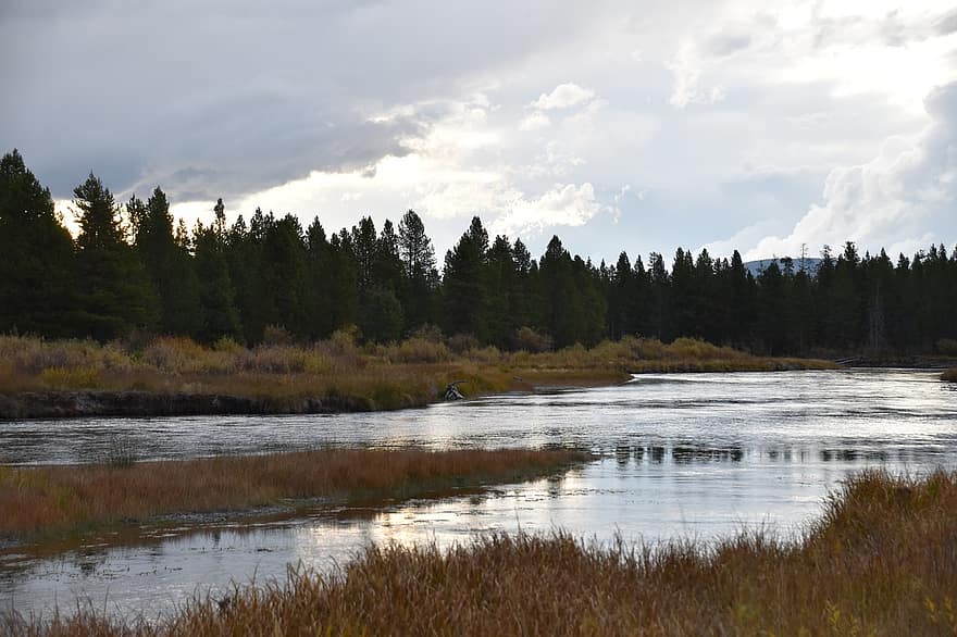 rivière, couvert, des arbres, pins, eau, des nuages, Montana, la nature, réflexion