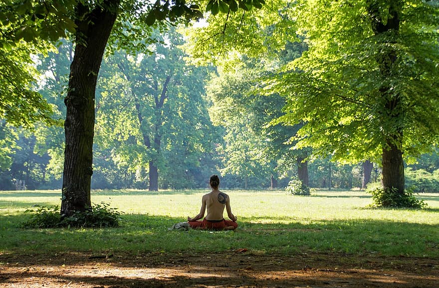 meditació, home, parc, camp, meditar, relaxació, benestar, pau, zen, arbres, ioga