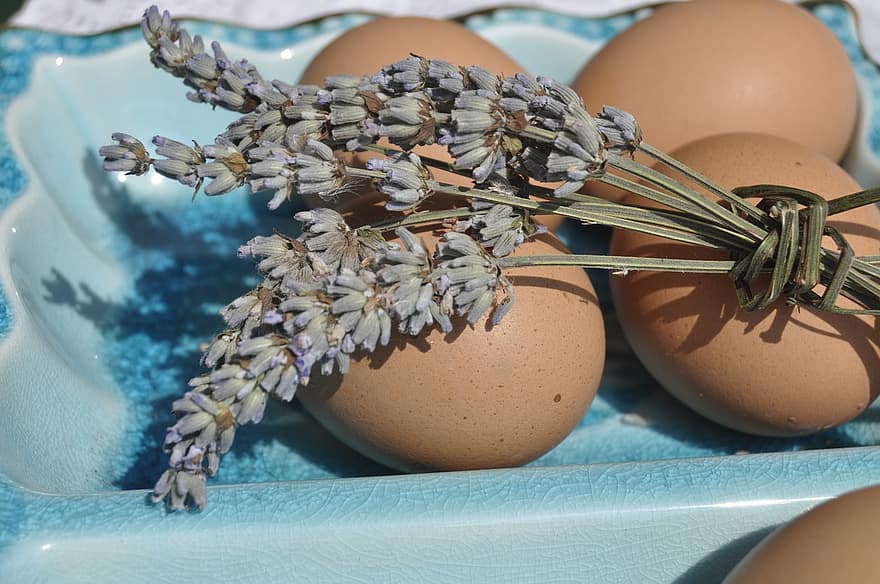 lavender, telur, alam, makanan, makan, dekoratif, dikumpulkan