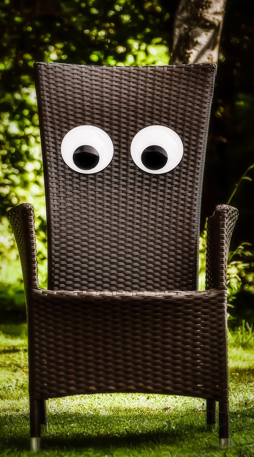 cadeira de jardim, olhos, engraçado, móveis de assento, móveis de jardim