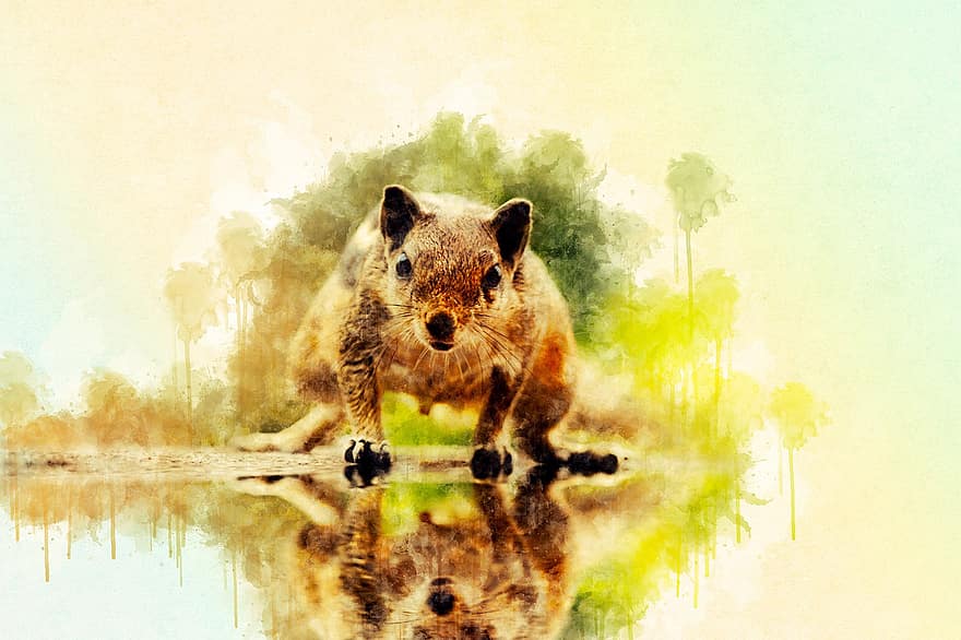 dier, eekhoorn, dieren in het wild, knaagdier, artwork, tekening