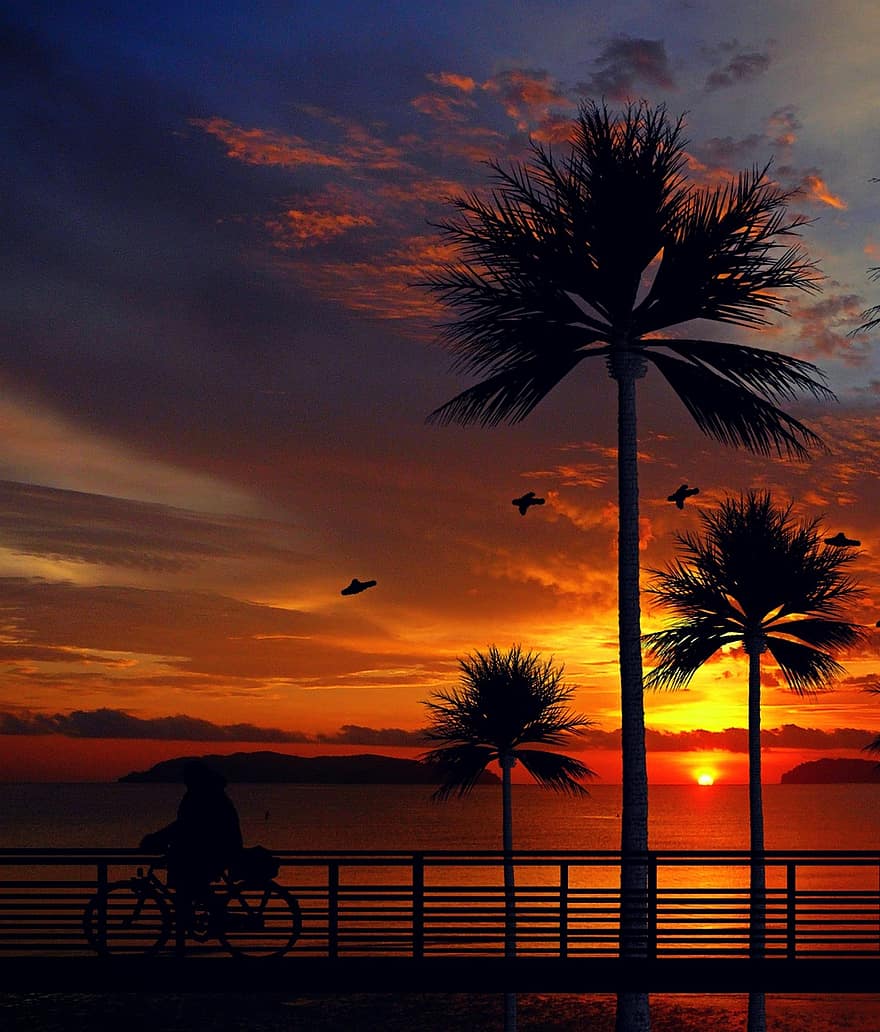 заход солнца, пальмовые деревья, пляж, каникулы, мост, Велосипедисты Море, юг, природа, романс, вечернее небо, настроение