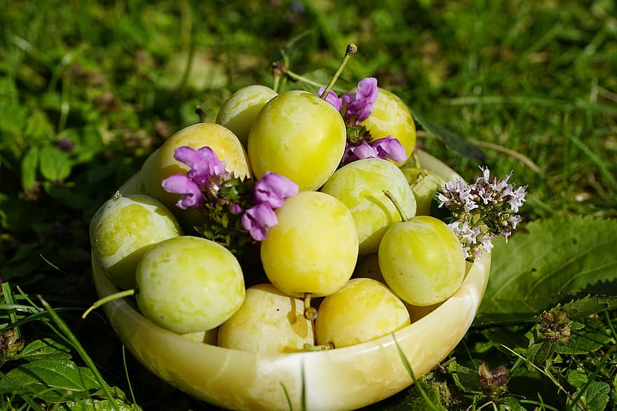 slyvų, vaisiai, maisto, geltoni vaisiai, prunus, derlius, gaminti, subrendęs, sveikas, vitaminų, ekologiškas
