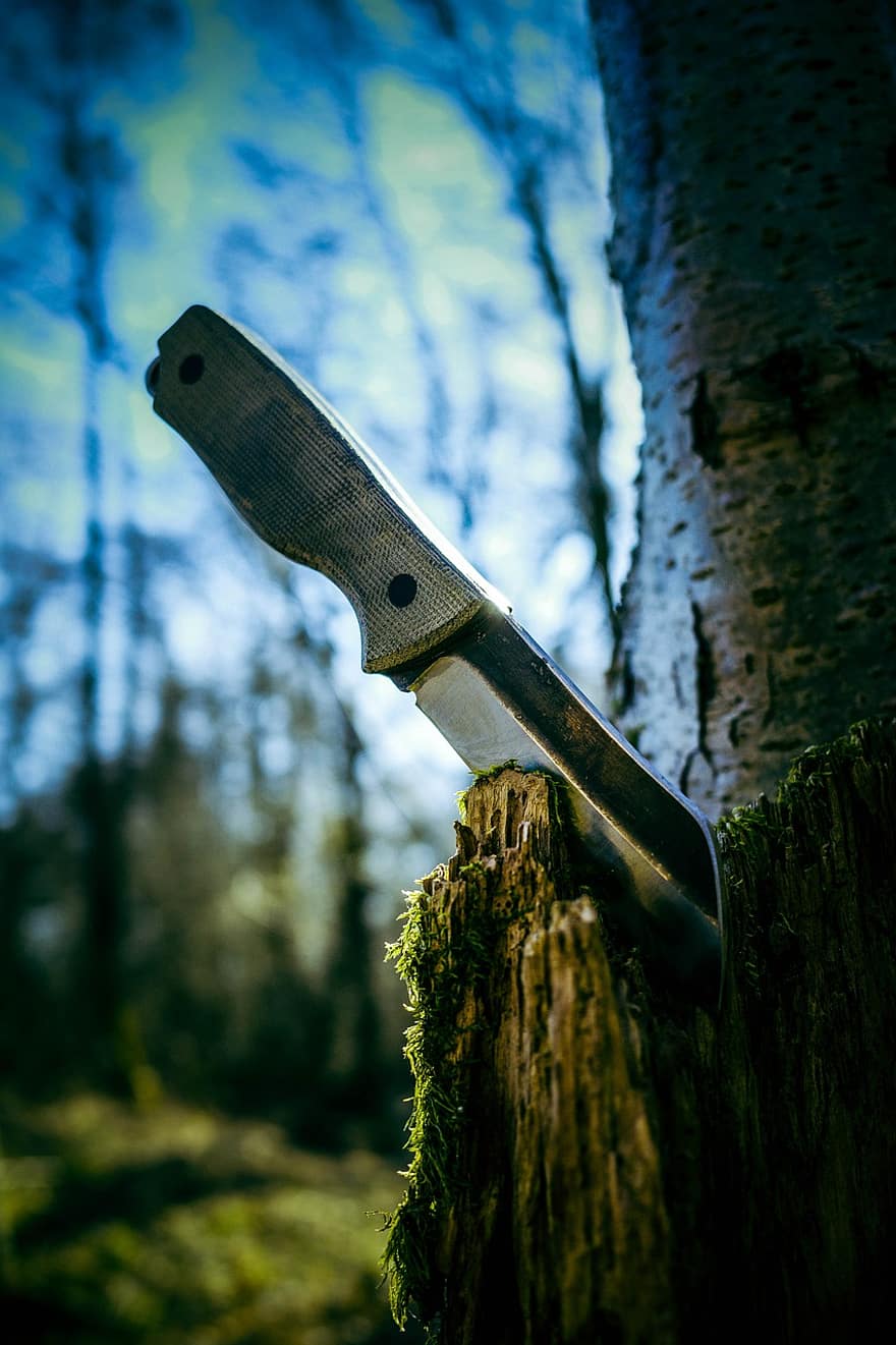 juegos de cuchillos, cuchillo, bosque, bushcraft, árbol, madera, espada, acero, agudo, equipo, encargarse de
