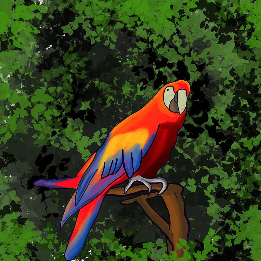 papagailis, putns, dzīvnieku, savvaļas dzīvnieki, spalvas, filiāle, sēž, zīmējums, daudzkrāsains, spalvu, knābis