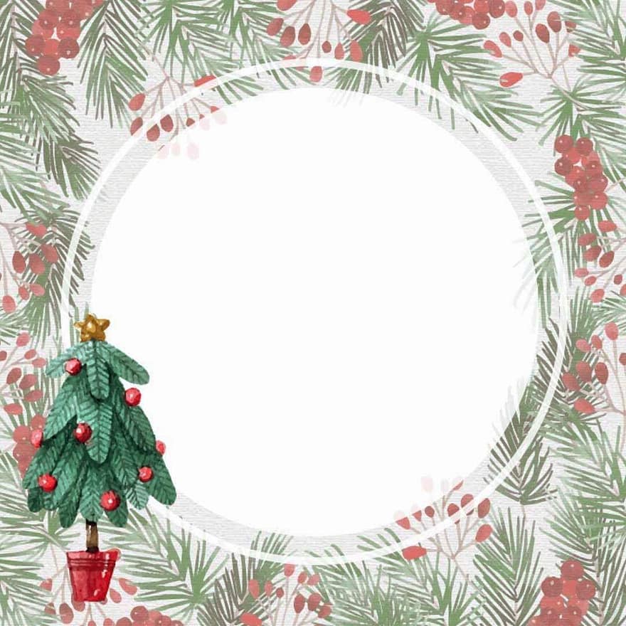 rama, dekoracja, Boże Narodzenie, ostrokrzew, igły sosnowe, drzewko świąteczne, świąteczny wystrój, świąteczne dekoracje, dekoracje, projekt, kartka świąteczna