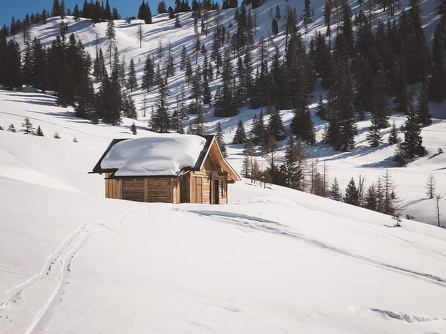 cabana, natureza, inverno, temporada