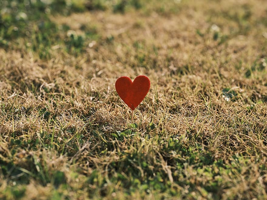 hjerte, kjærlighet, Valentinsdag, feiring, lykke, februar, par, romantisk, romanse, nåværende, jubileum