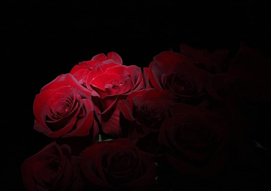 roses, bouquet, flors, amor, novel·la, romàntic, flor, regal, florir, pètals, casament
