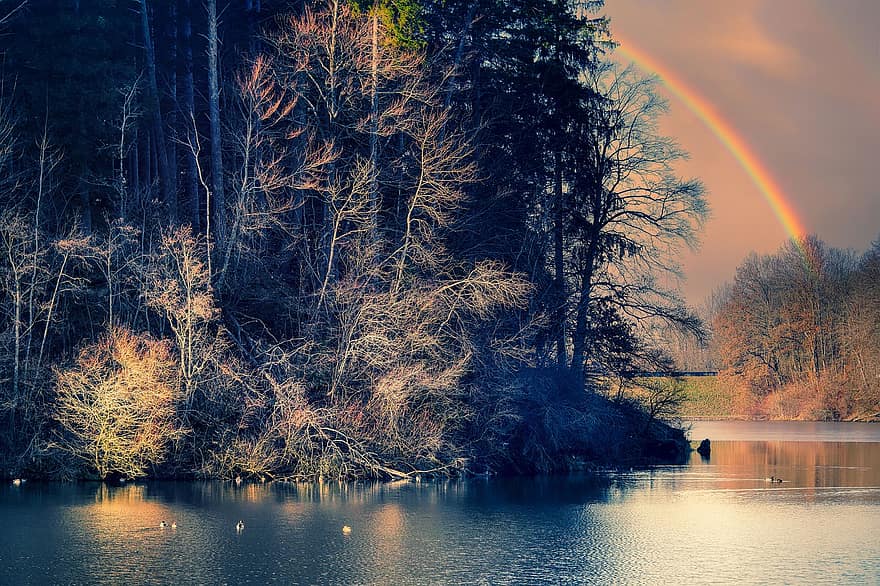 lago, arco Iris, arvores, floresta, crepúsculo, inverno, natureza, agua, árvore, outono, panorama