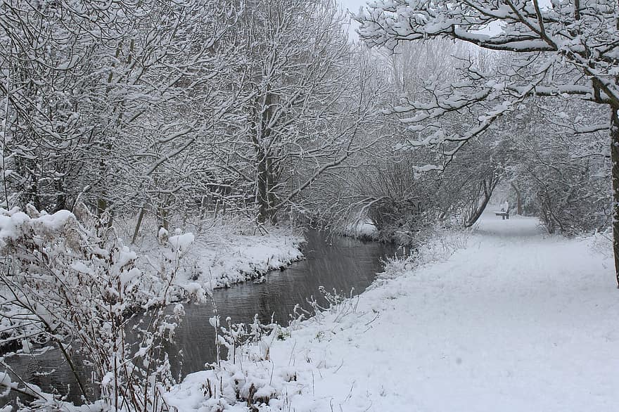 hivern, naturalesa, arbres, neu, caminar, Anglaterra, jardí, riu, bosc, arbre, paisatge