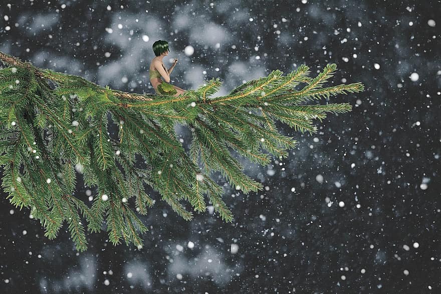peri, salju, pohon, cabang, fantasi, hutan, musim dingin, wanita, embun beku, dingin, suasana