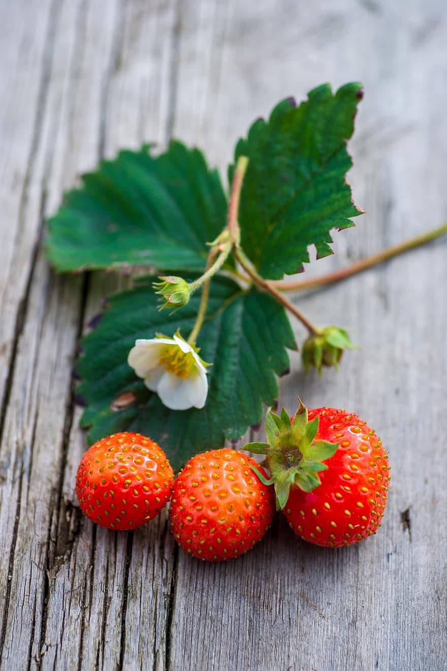 Fruit, Strawberry, Organic, Berry, Sweet, Vitamin, close-up, freshness, leaf, summer, food