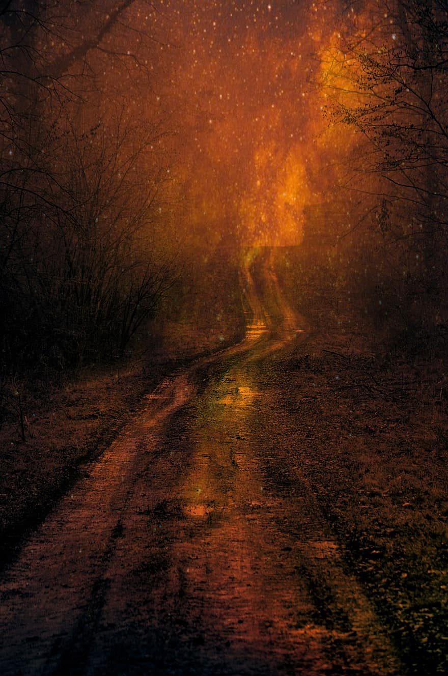 bosque, fuego, sendero, camino, la carretera, fuego fatuo, incendio forestal, ardiente, noche