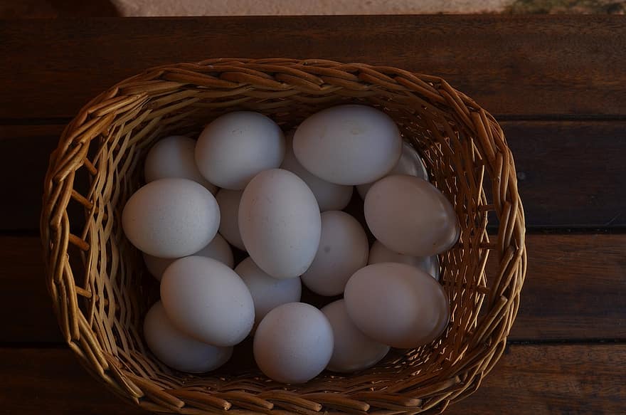 αυγά, αυγά κοτόπουλου, καλάθι, λευκά αυγά, φαγητό