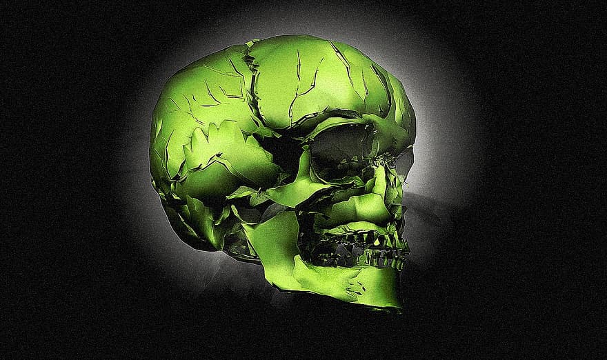 craniu, os, cap, schelet, 3d model, grafic, textură