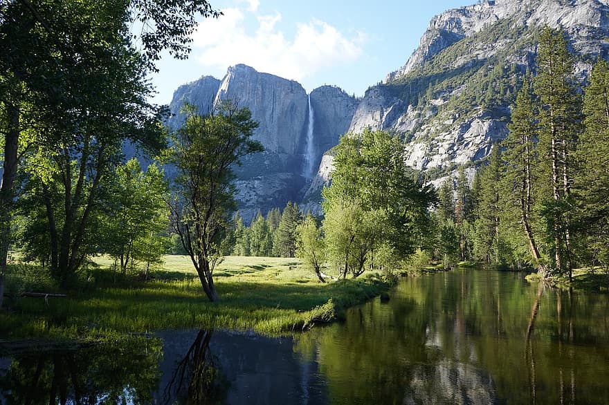 ヨセミテ、国立公園、自然、風景、カリフォルニア、アメリカ合衆国、山、森林、水、夏、緑色