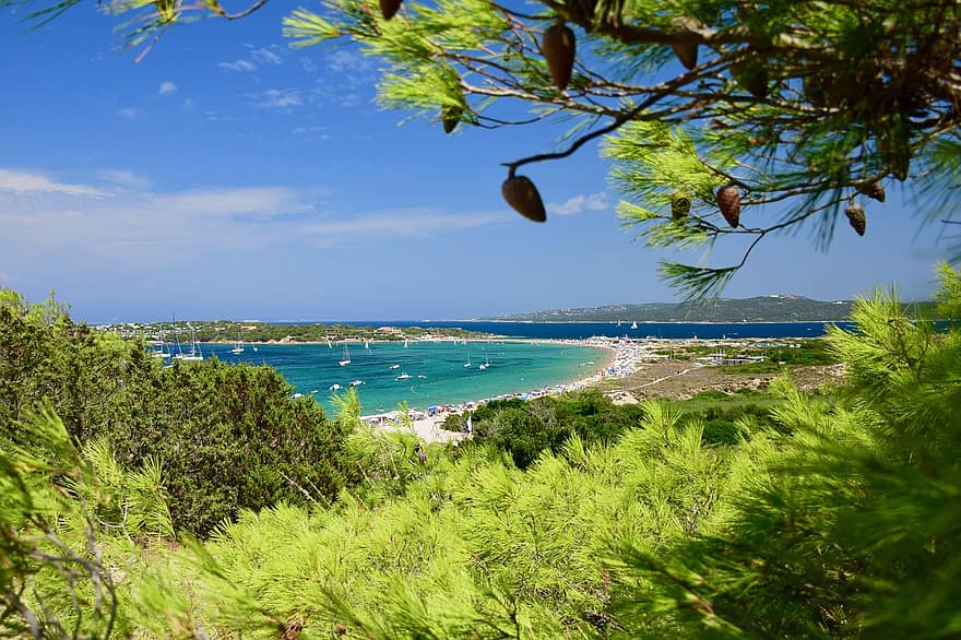 природа, море, пътуване, проучване, на открито, плаж, Сардиния