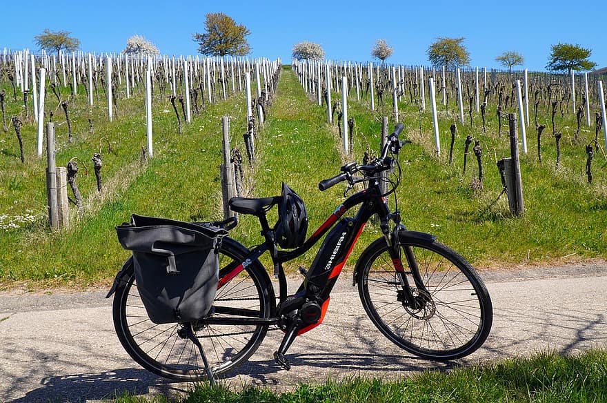 велосипед, виноградник, велосипедный тур