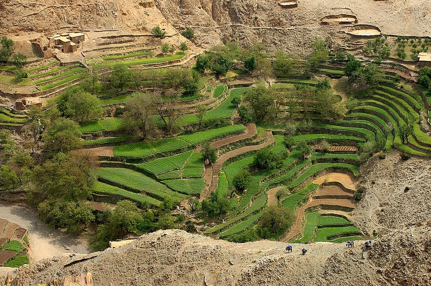 terraço, agricultura, cultura, irrigação, Marrocos, árabe