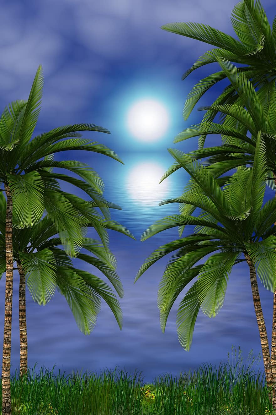 ferie, hav, sommer, landskap, natur, palmer, vann, refleksjon, rolig, avslapning