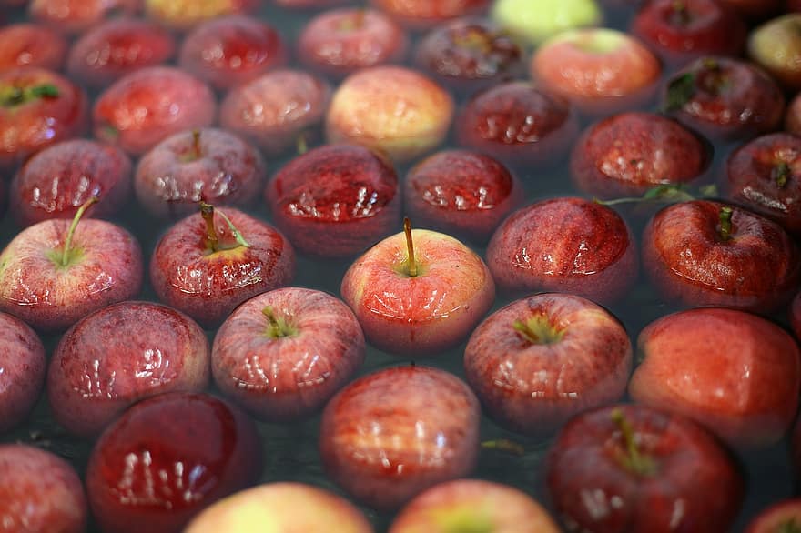 Mela, frutta, raccolto di mele, Apple Store, cibo, freschezza, avvicinamento, mangiare sano, biologico, maturo, sfondi