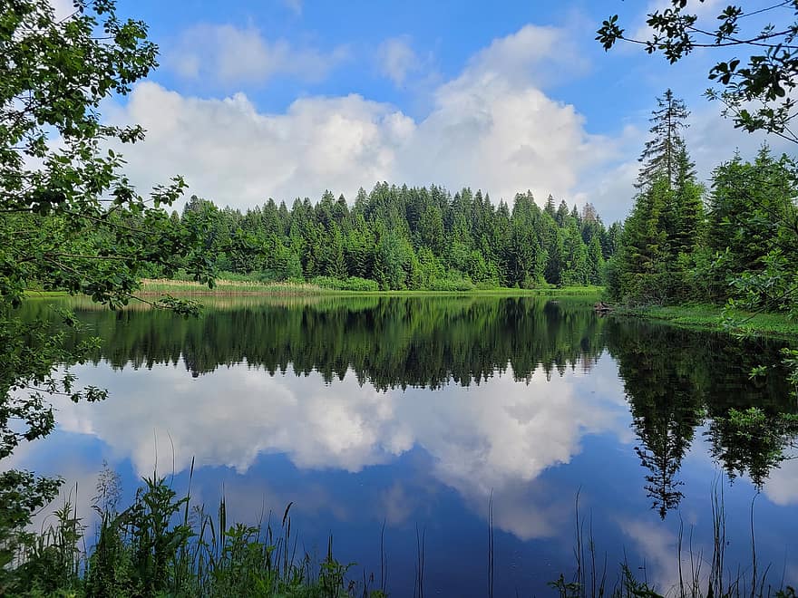 lago, estanque, agua, verano, reflexión, silencio, naturaleza, color verde, bosque, árbol, azul
