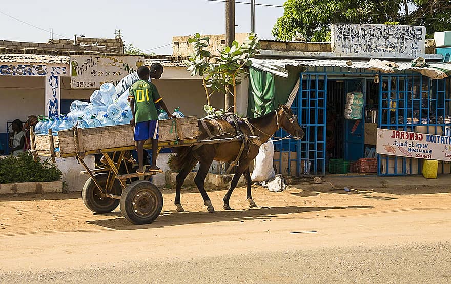 África, transporte, vida cotidiana, cidade, cavalo