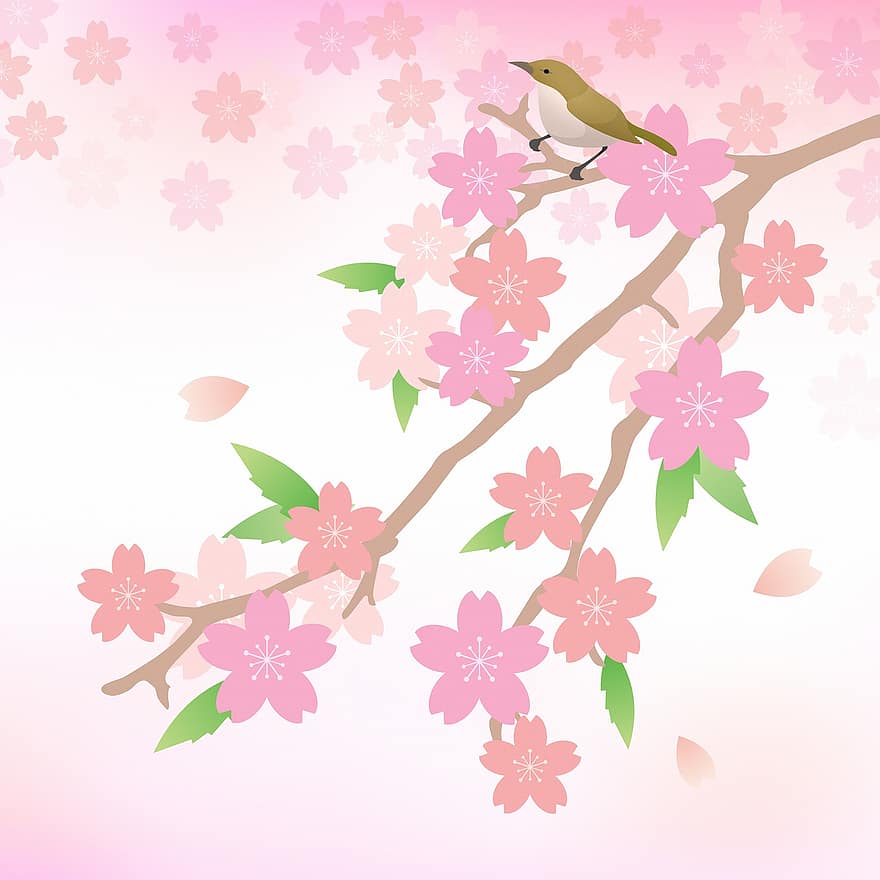 Sakura digitālais papīrs, ķiršu ziedi, rozā, japāņu, sakura, ziedu, pavasarī, zied, raksturs, filiāle, ķirsis
