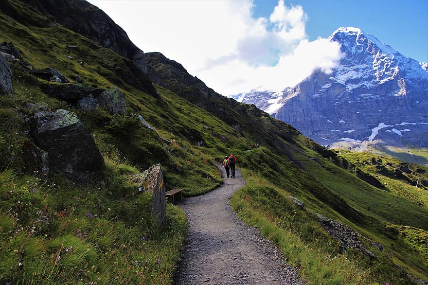 bergen, de Alpen, het pad, alpenweiden, stilte, spoor, berg-, rots, top, het podium, Bergtoerisme