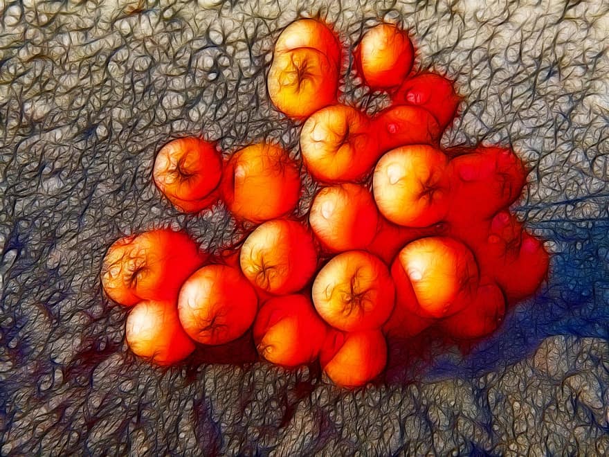 Rowan Berries, Artwork, Red, Orange, Digital Art, Fractal, Digital Manipulation