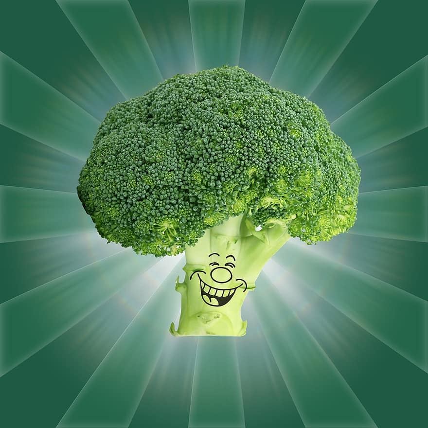 broccoli, vegetabiliska, mat, hälsosam, näring, organisk, producera, vitaminer, färsk, natur, vegan