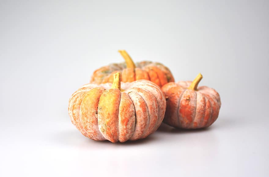 Pumpkins, Squash, Gourds, Vegetables, pumpkin, autumn, halloween, vegetable, october, decoration, season