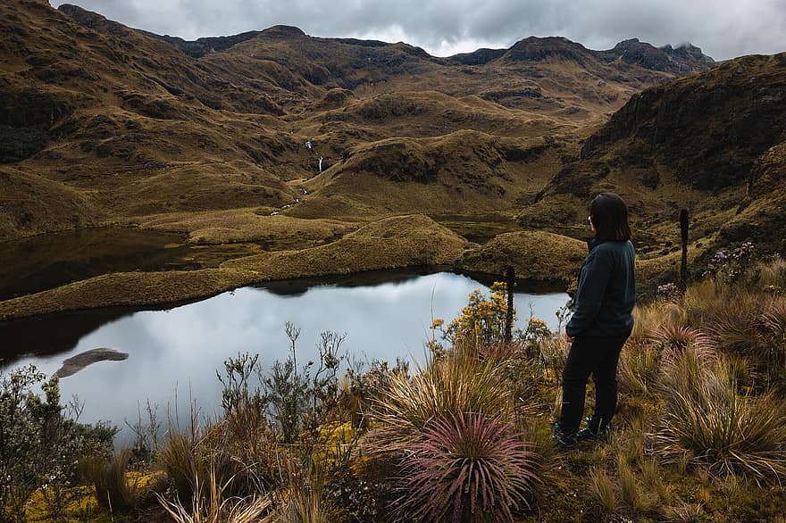 erdő, tó, túrázás, hegy, préri, természet, növényvilág, Ecuador, völgy, férfiak, kaland