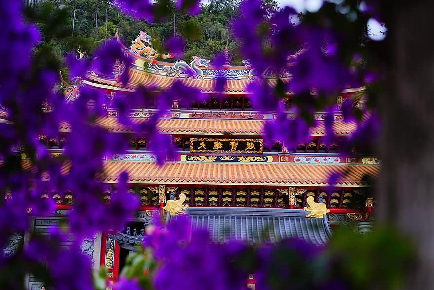 chrám, budova, buddhismus, střecha, tradiční