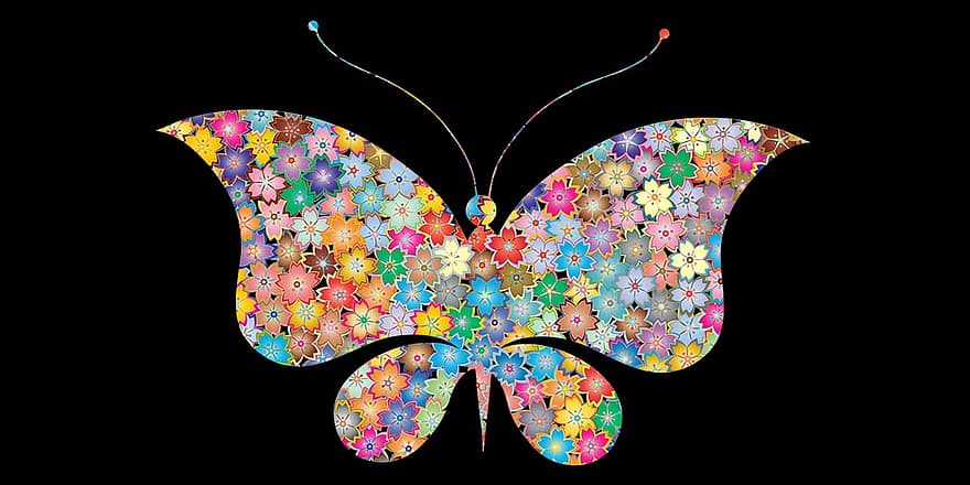 バタフライ、花蝶、虫、フライングバタフライPNG、バタフライPNGHd画像、バタフライPNGクリップアート、漫画の蝶のPNG、蝶の情報、蝶の事実、蝶の下位分類、バタフライライフサイクル