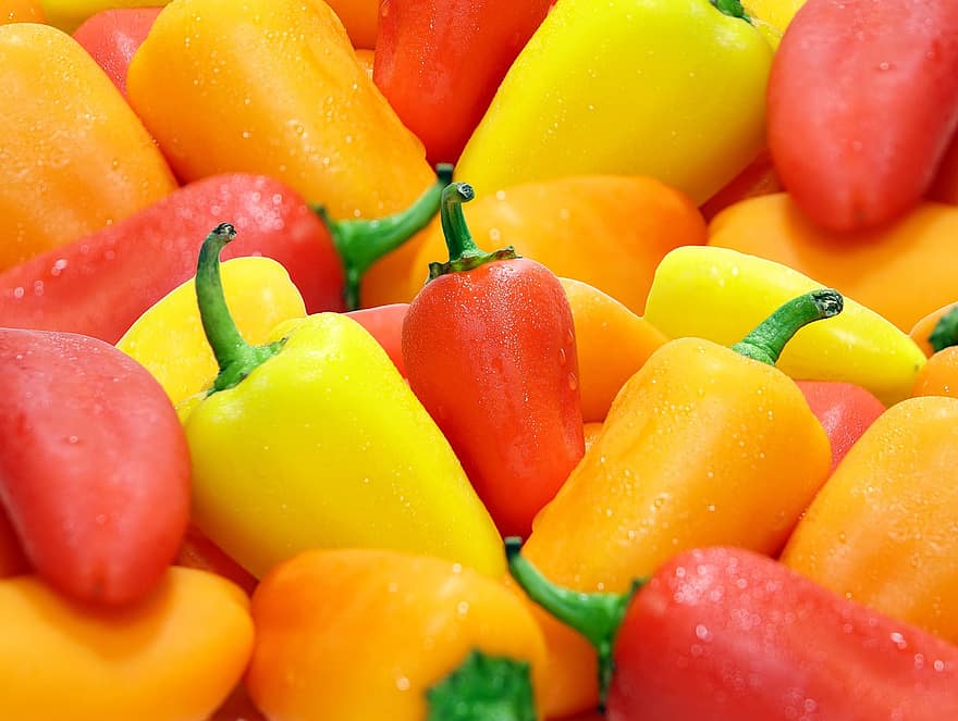 peberfrugter, grøntsager, mad, organisk, frisk, fremstille, sund og rask, våd, grøntsag, friskhed, multi farvet