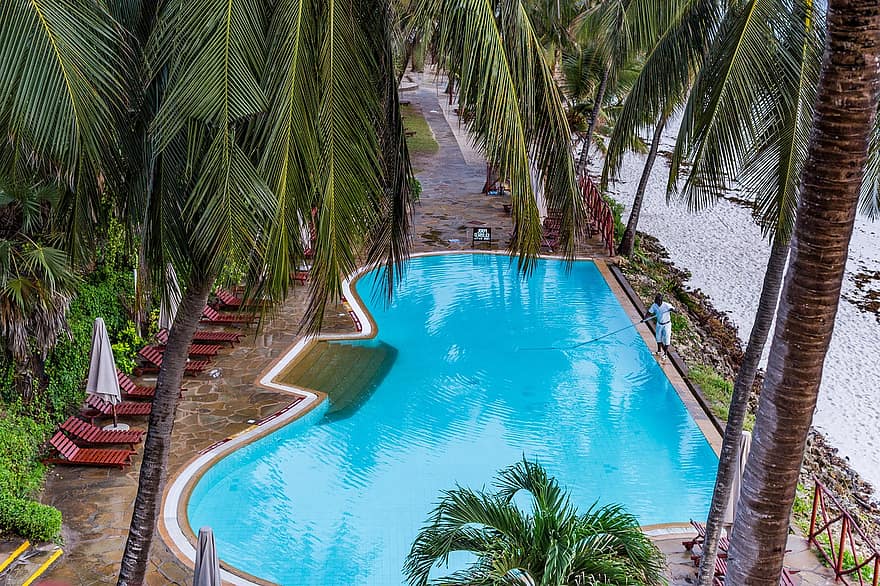 Yüzme havuzu, Palmiye ağaçları, çare, plaj, sahil, havuz, avuç içi, Kenya