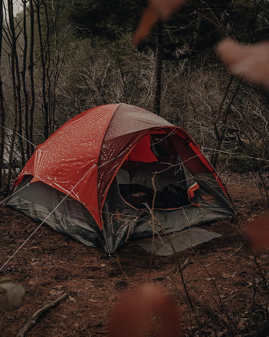 tent, camping, kamp, avontuur, vrije tijd, activiteit, recreatie, reizen, vakantie, buitenshuis, Bos