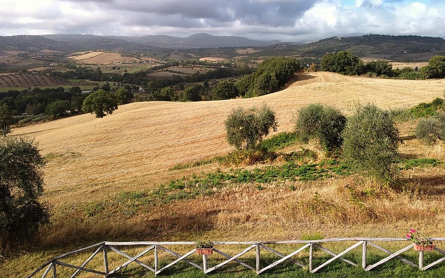 Felder, Hügel, toskana, Italien, Landschaft, ländlich, Bauernhof, Olivenbäume, draußen, fallen