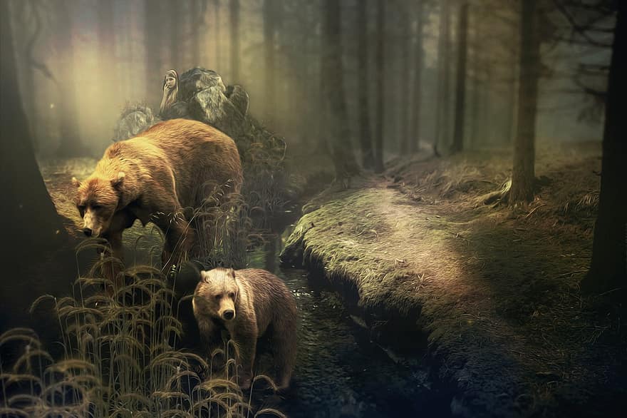 Bear, Forest, Girl, Brown Bear, Water, Nature, Fur, Green, Mystical, Fairy Tales, Hiding Place