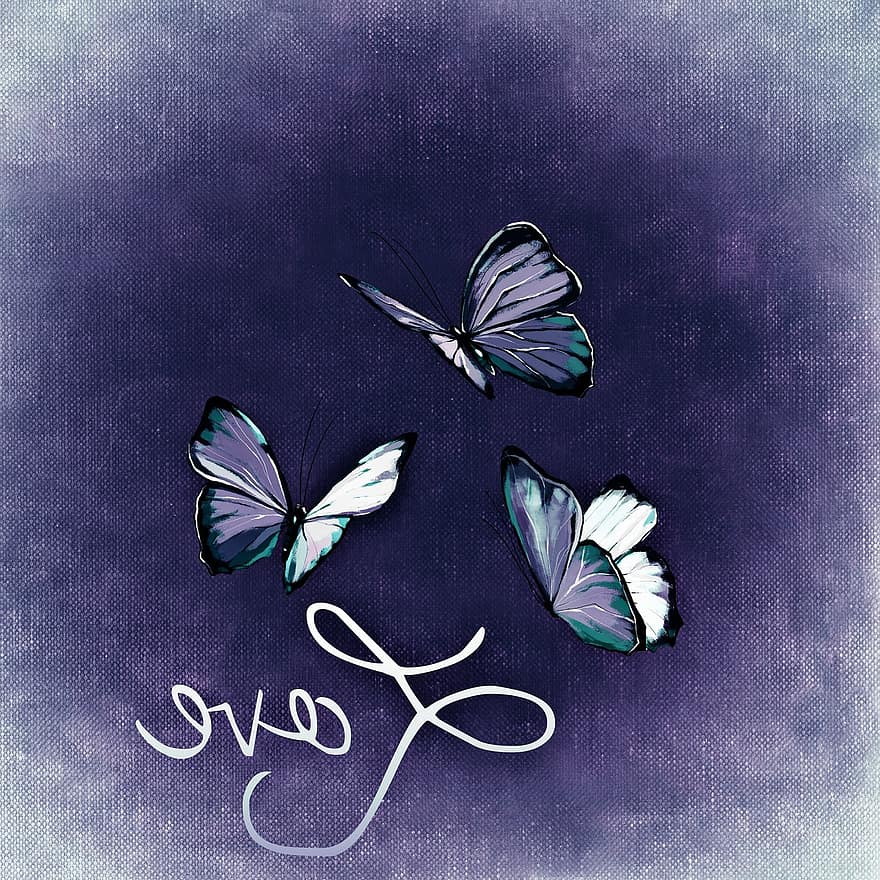 motyle, latający, miłość, skrzydło, motyl, owad, abstrakcyjny, kolorowy, Walentynki
